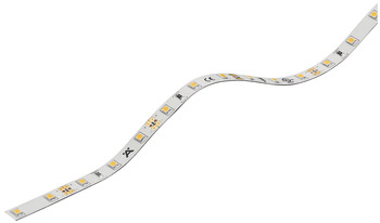 Taśma LED, Häfele Loox5 LED 2062, 12 V, monochromatyczna, 8 mm 